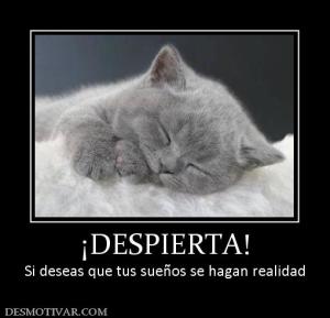 ¡DESPIERTA! Si deseas que tus sueños se hagan realidad