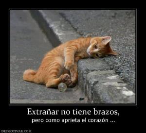 Extrañar no tiene brazos, pero como aprieta el corazón ...