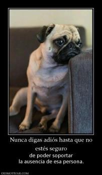 Nunca digas adiós hasta que no estés seguro de poder soportar la ausencia de esa persona.
