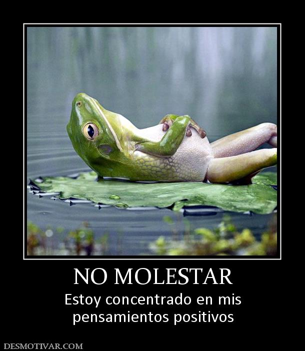 NO MOLESTAR Estoy concentrado en mis pensamientos positivos