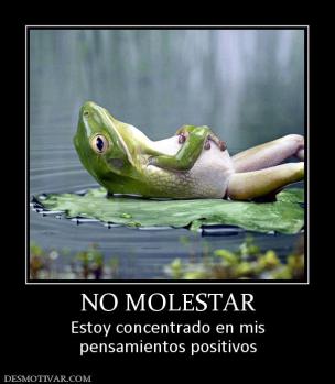 NO MOLESTAR Estoy concentrado en mis pensamientos positivos