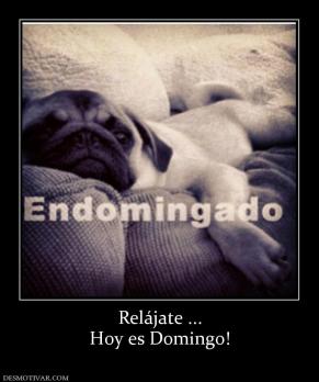 Relájate ... Hoy es Domingo!