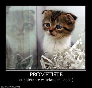 PROMETISTE que siempre estarias a mi lado :(