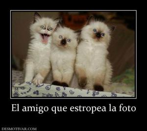 El amigo que estropea la foto