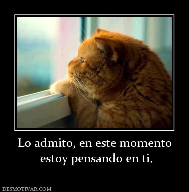 Lo admito, en este momento  estoy pensando en ti.