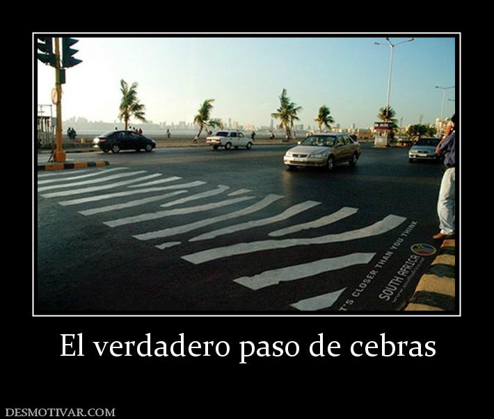El verdadero paso de cebras