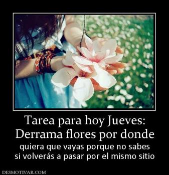 Tarea para hoy Jueves: Derrama flores por donde quiera que vayas porque no sabes si volverás a pasar por el mismo sitio