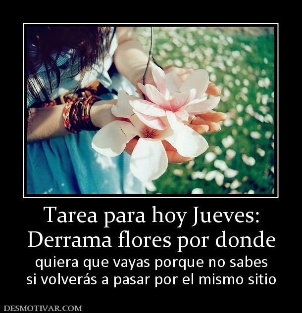 Tarea para hoy Jueves: Derrama flores por donde quiera que vayas porque no sabes si volverás a pasar por el mismo sitio