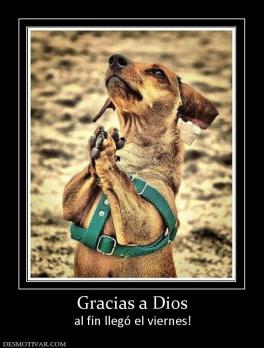 Gracias a Dios al fin llegó el viernes!