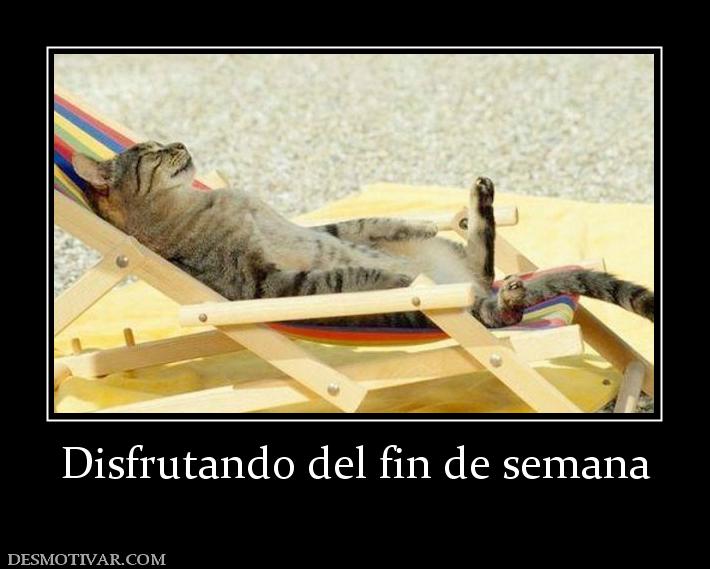 Disfrutando del fin de semana