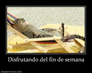 Disfrutando del fin de semana