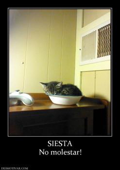 SIESTA No molestar!