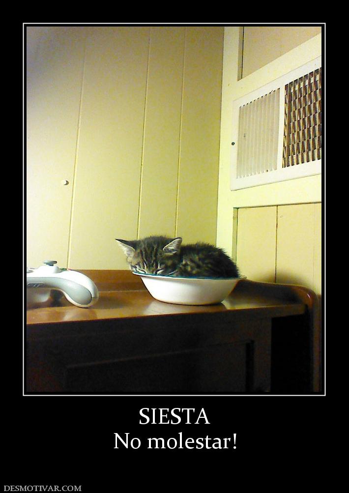 SIESTA No molestar!