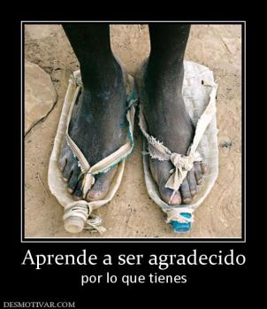 Aprende a ser agradecido por lo que tienes