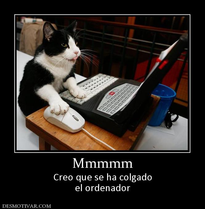 Mmmmm Creo que se ha colgado el ordenador