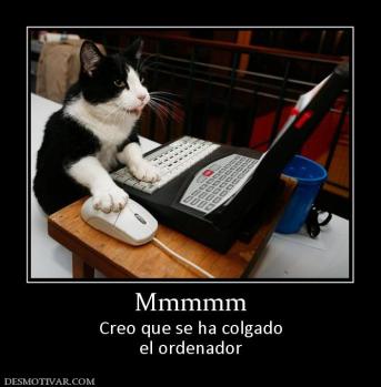 Mmmmm Creo que se ha colgado el ordenador