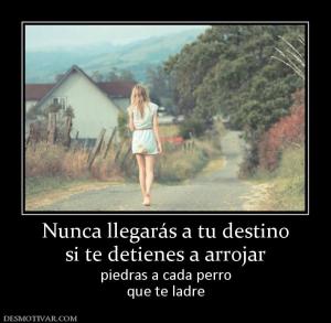 Nunca llegarás a tu destino si te detienes a arrojar piedras a cada perro que te ladre