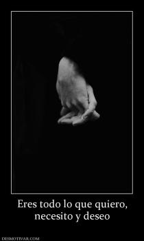Eres todo lo que quiero, necesito y deseo