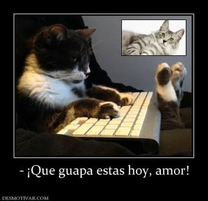 - ¡Que guapa estas hoy, amor!