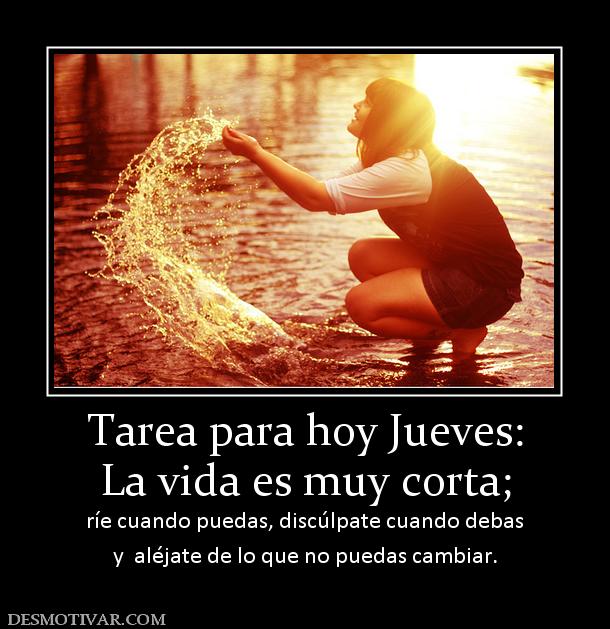 Tarea para hoy Jueves: La vida es muy corta; ríe cuando puedas, discúlpate cuando debas y  aléjate de lo que no puedas cambiar.