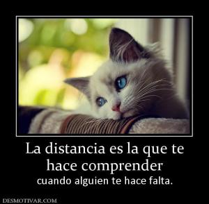 La distancia es la que te hace comprender cuando alguien te hace falta.