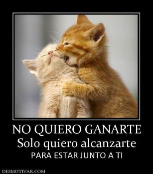 NO QUIERO GANARTE Solo quiero alcanzarte PARA ESTAR JUNTO A TI