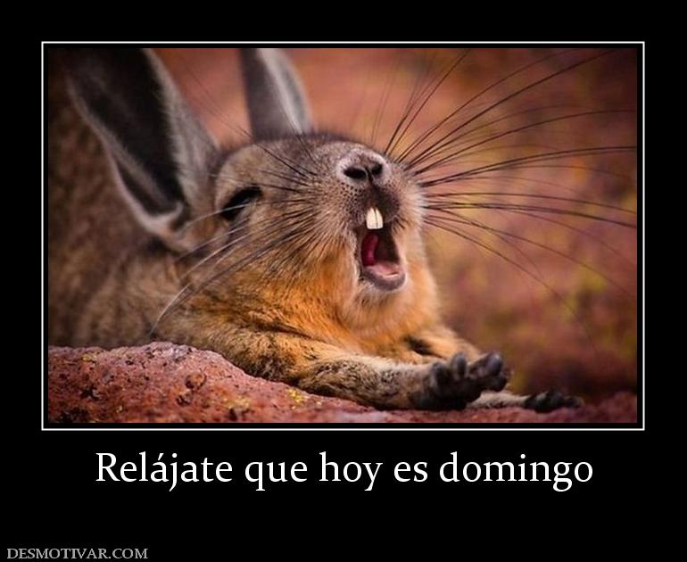 Relájate que hoy es domingo