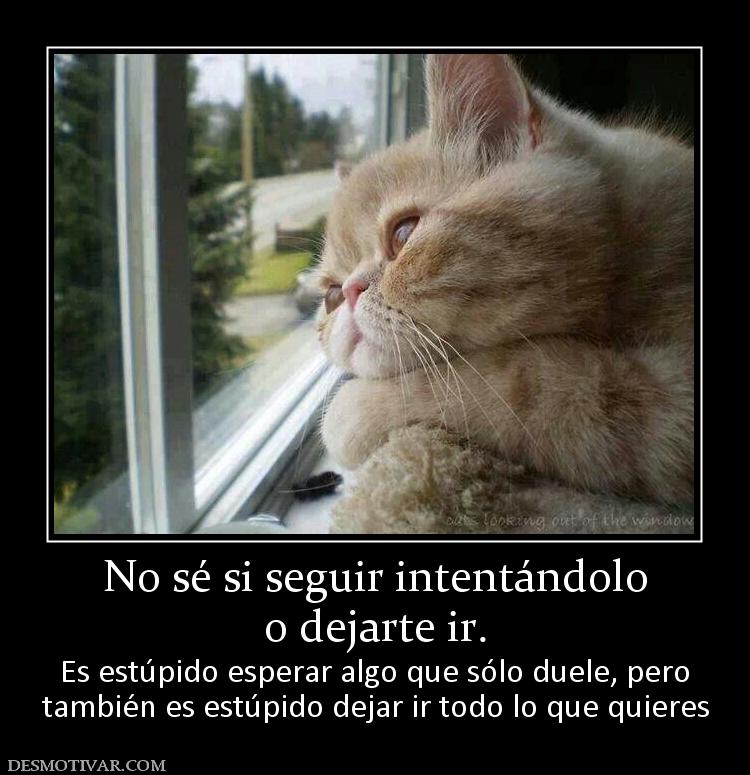 No sé si seguir intentándolo o dejarte ir.  Es estúpido esperar algo que sólo duele, pero también es estúpido dejar ir todo lo que quieres