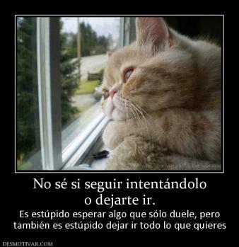 No sé si seguir intentándolo o dejarte ir.  Es estúpido esperar algo que sólo duele, pero también es estúpido dejar ir todo lo que quieres