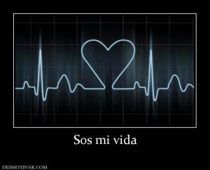 Sos mi vida