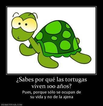 ¿Sabes por qué las tortugas viven 100 años? Pues, porque sólo se ocupan de su vida y no de la ajena