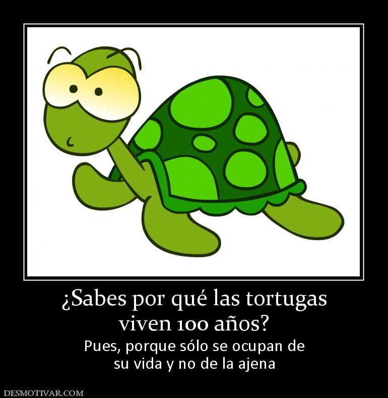 ¿Sabes por qué las tortugas viven 100 años? Pues, porque sólo se ocupan de su vida y no de la ajena