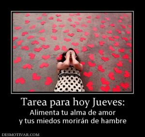 Tarea para hoy Jueves: Alimenta tu alma de amor y tus miedos morirán de hambre