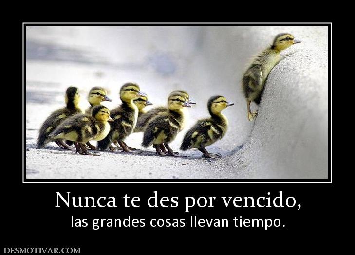 Nunca te des por vencido, las grandes cosas llevan tiempo.