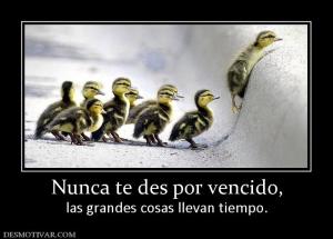 Nunca te des por vencido, las grandes cosas llevan tiempo.