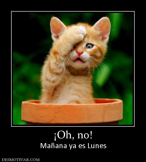 ¡Oh, no! Mañana ya es Lunes
