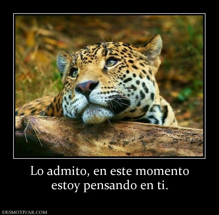 Lo admito, en este momento estoy pensando en ti.