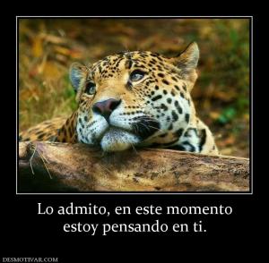 Lo admito, en este momento estoy pensando en ti.
