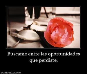 Búscame entre las oportunidades que perdiste.