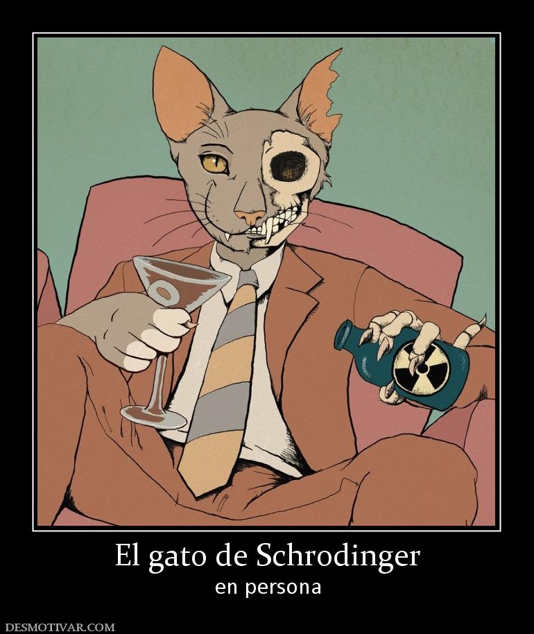 El gato de Schrodinger en persona