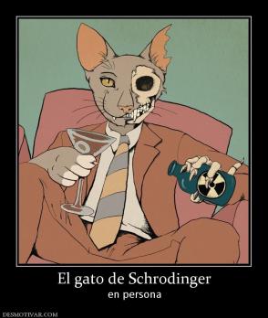 El gato de Schrodinger en persona