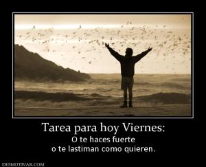 Tarea para hoy Viernes: O te haces fuerte o te lastiman como quieren.