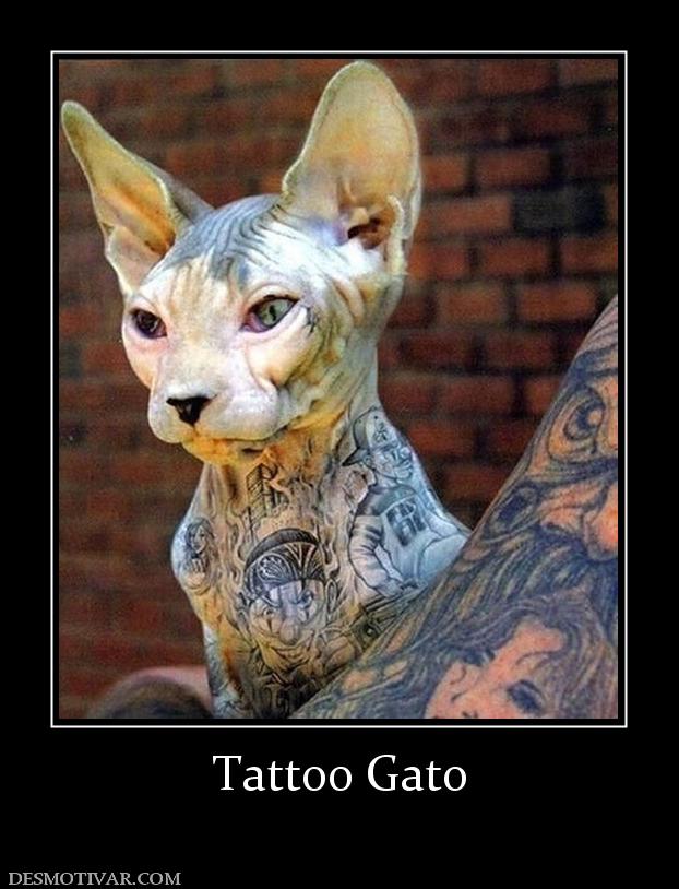 Tattoo Gato