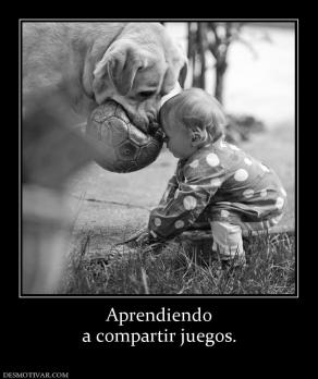 Aprendiendo a compartir juegos.
