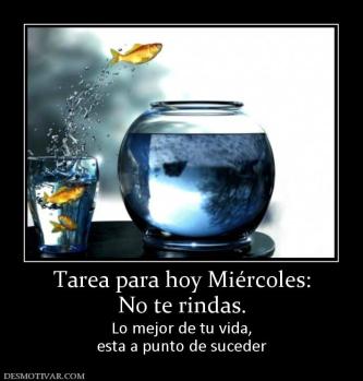 Tarea para hoy Miércoles: No te rindas. Lo mejor de tu vida, esta a punto de suceder