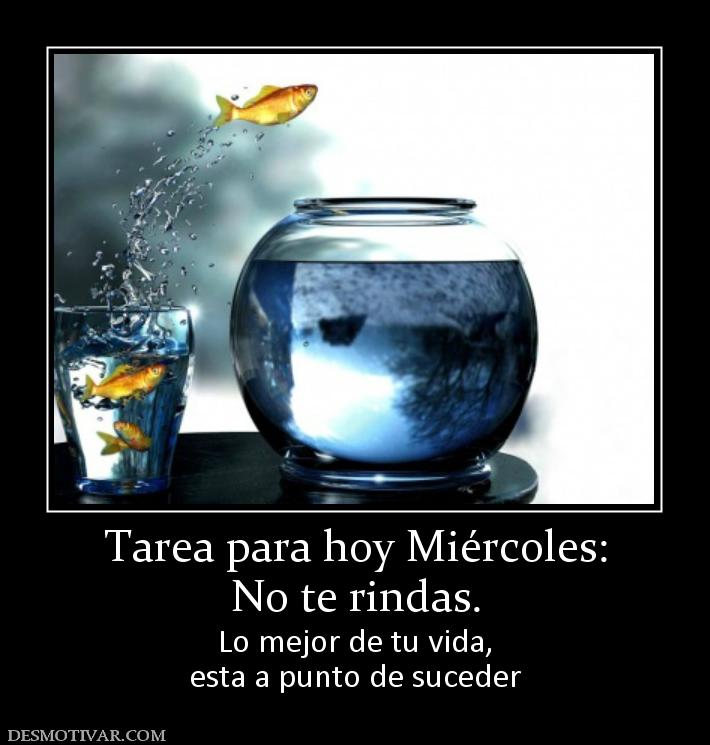 Tarea para hoy Miércoles: No te rindas. Lo mejor de tu vida, esta a punto de suceder