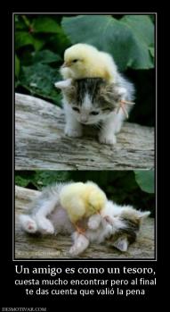 Un amigo es como un tesoro, cuesta mucho encontrar pero al final te das cuenta que valió la pena