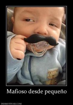 Mafioso desde pequeño