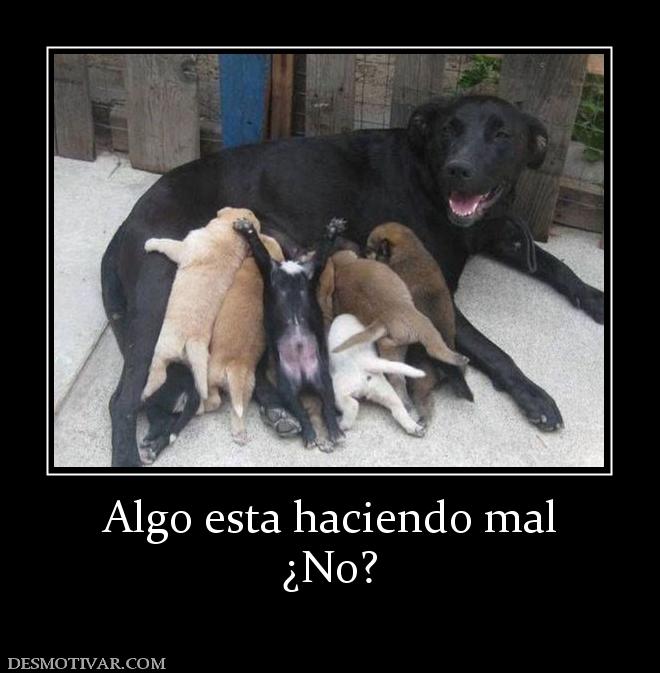 Algo esta haciendo mal ¿No?