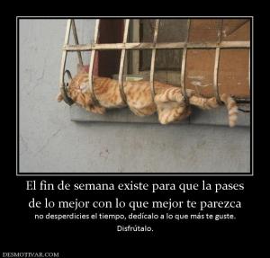 El fin de semana existe para que la pa de lo mejor con lo que mejor te parezca no desperdicies el tiempo, dedícalo a lo que más te gus Disfrútalo.